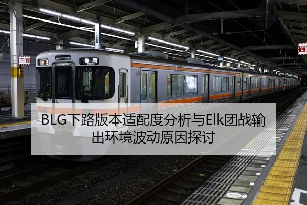 BLG下路版本适配度分析与Elk团战输出环境波动原因探讨