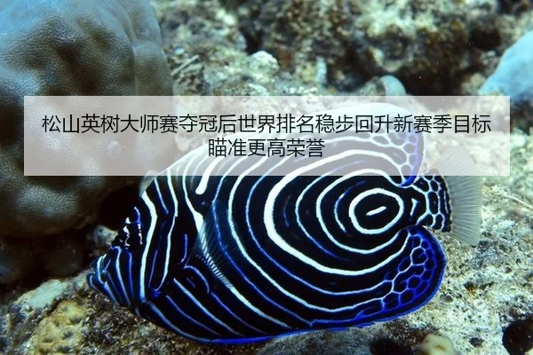 song-shan-ying-shu-da-shi-sai-duo-guan-hou-shi-jie-pai-ming-wen-bu-hui-sheng-xin-sai-ji-mu-biao-miao-zhun-geng-gao-rong-2-537.jpg