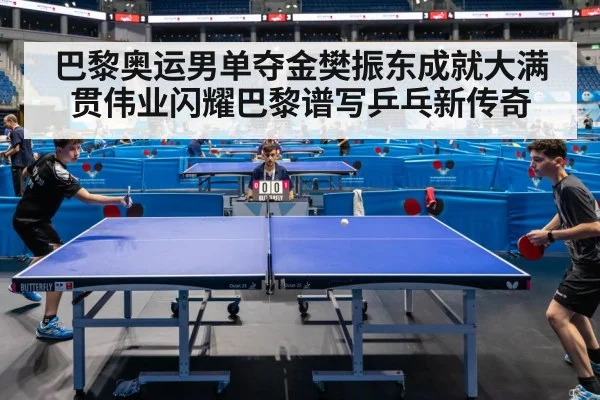 巴黎奥运男单夺金樊振东成就大满贯伟业闪耀巴黎谱写乒乓新传奇
